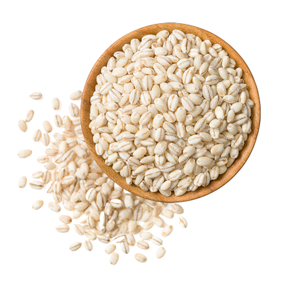 Barley